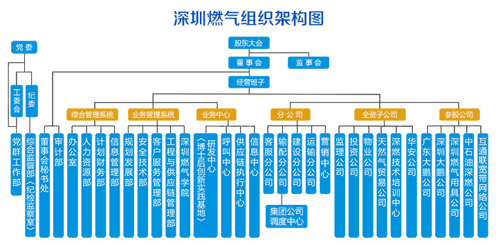 深圳市燃气集团股份有限公司(深燃公司）