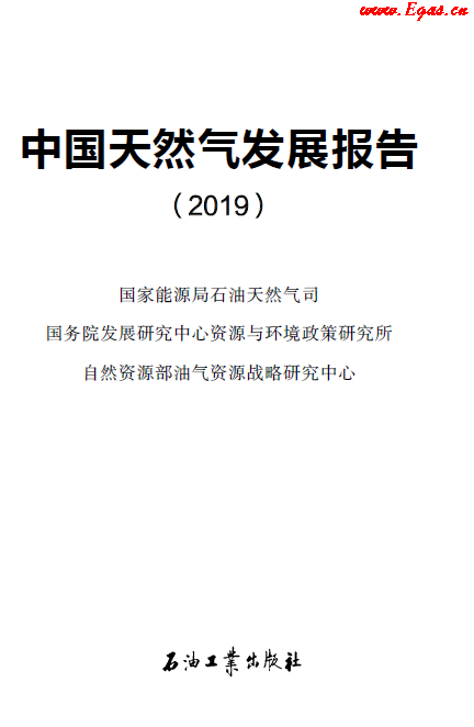 2019中国天然气发展报告.png