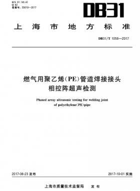 燃气用聚乙烯（PE）管道焊接接头相控阵超声检测 DB31∕T 1058-2017