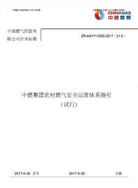 中燃集团农村燃气安全运营体系指引