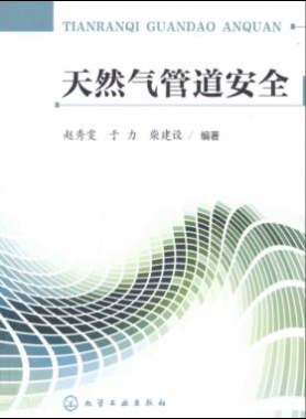 天然气管道安全 赵秀雯,于力,柴建设 化学工业出版社