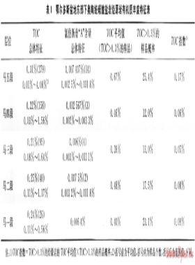 鄂尔多斯盆地东部奥陶系盐下天然气成藏条件