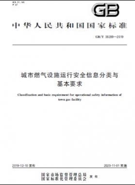 城市燃气设施运行安全信息分类与基本要求国标∕T 38289-2019