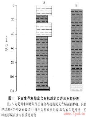 我国富含有机质泥页岩发育特点与页岩气战略选区