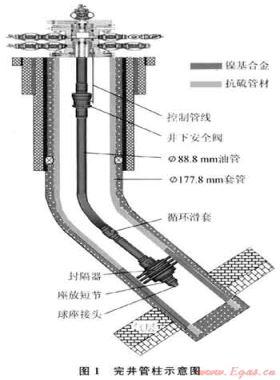 普光高酸性气田井简管材及完井方案优选