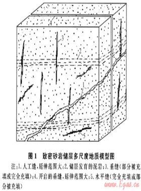裂缝性致密砂岩储层气体传质实验