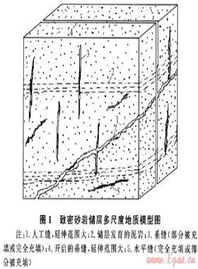 裂缝性致密砂岩储层气体传质实验