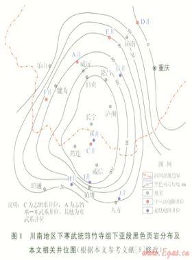 海相页岩有机质碳化的电性证据及其地质意义