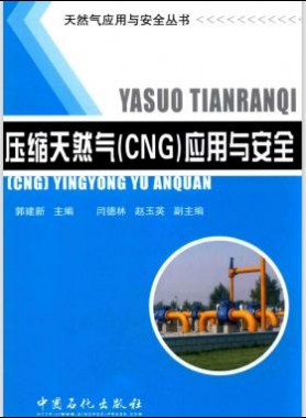 天然气应用与安全丛书 压缩天然气（CNG）应用与安全 郭建新 主编 2015年版