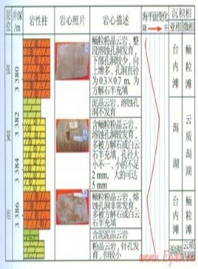 鄂尔多斯盆地中寒武统张夏组沉积相特征及岩相古地理分析