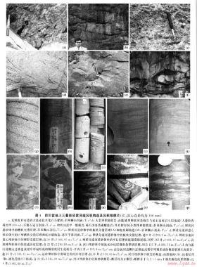 四川类前陆盆地上三叠统须家河组沉积体系