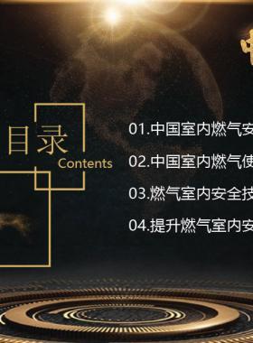 中国室内燃气安全与技术措施综述-赵自军