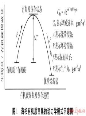 中国海相烃源岩研究进展及面临的挑战