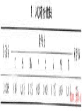 普光气田集输管材腐蚀评价及缓蚀剂加药工艺优化
