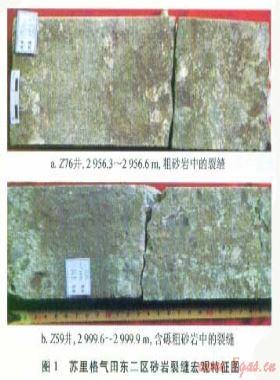 苏里格气田东二区致密砂岩储层裂缝与含气性的关系