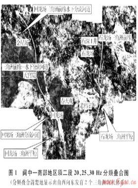 四川盆地阆中-南部地区须家河组勘探潜力