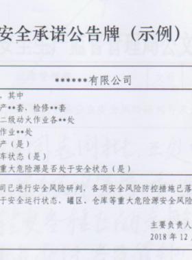 应急管理部关于全面实施危险化学品企业安全风险研判与承诺公告制度的通知应急〔2018〕74号