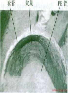 埋地燃气聚乙烯管道白蚁蚁侵危害与防治
