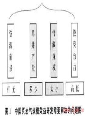 中国页岩气勘探开发面临的问题与对策