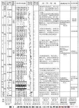 济阳坳陷中生界烃源岩生烃演化