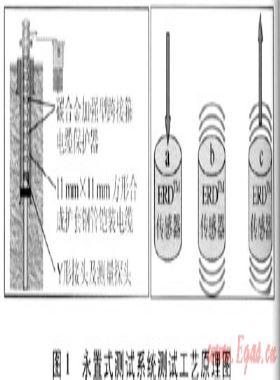 井下永置式测试技术在普光气田的应用